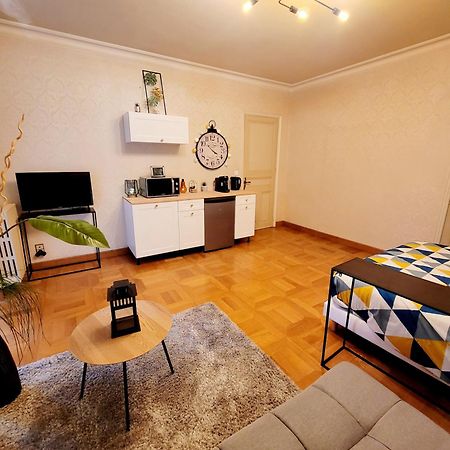 Superbe Appartement Calme Et Spacieux Graulhet Zewnętrze zdjęcie