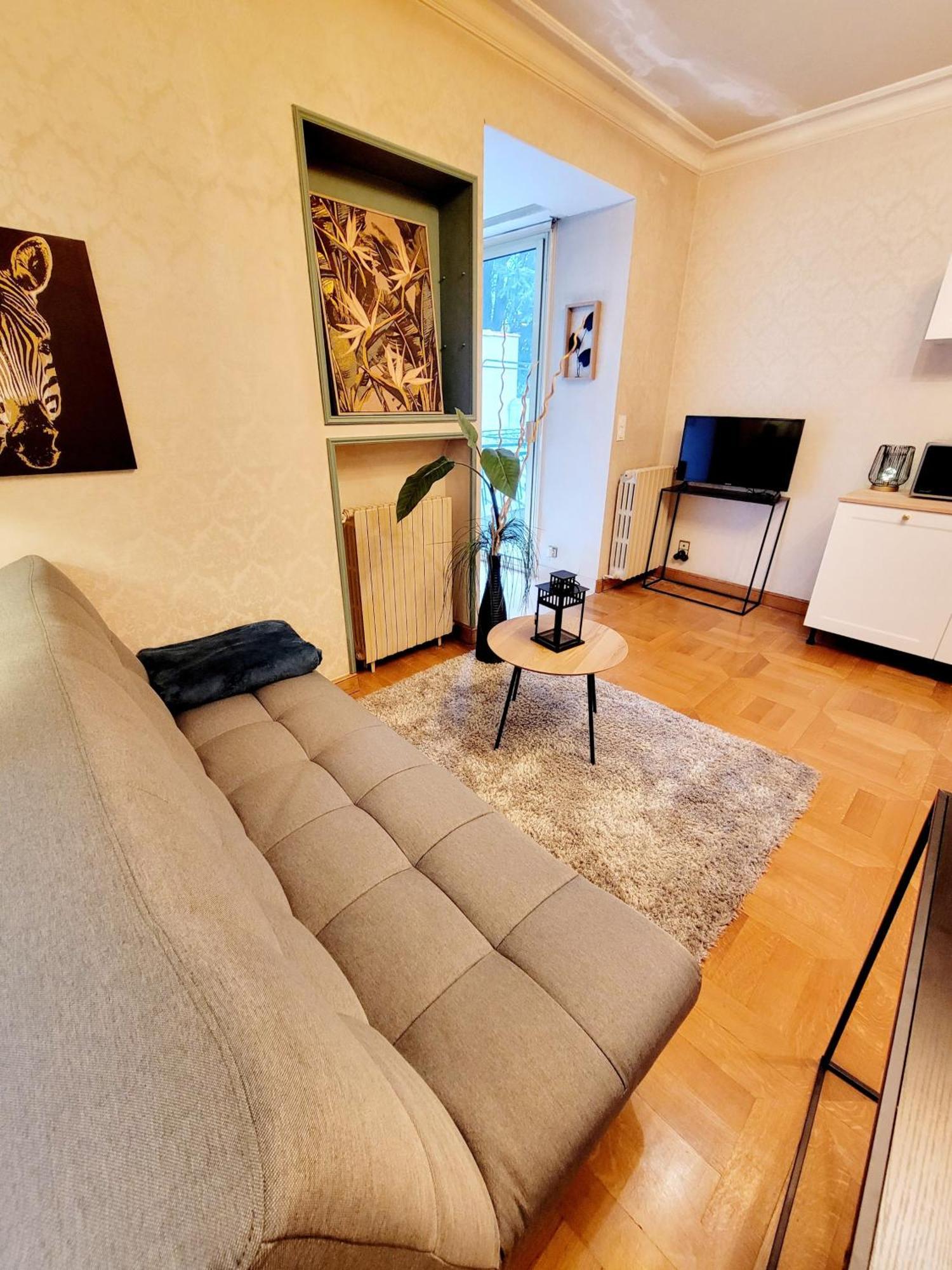 Superbe Appartement Calme Et Spacieux Graulhet Zewnętrze zdjęcie